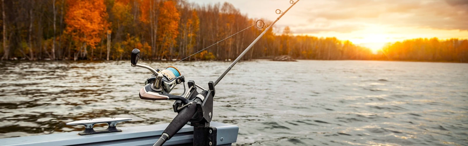 Best Fishing Spots in Virginia